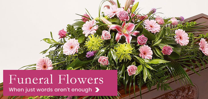 Home Helena S Flowers Gorey Co Wexford